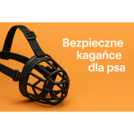 Kagańce