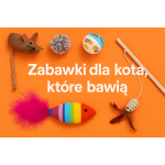 Pozostałe zabawki dla kotów