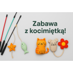 Wędki i zabawki z kocimiętką