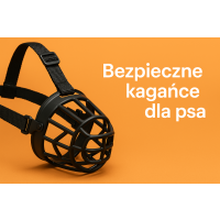 Kagańce