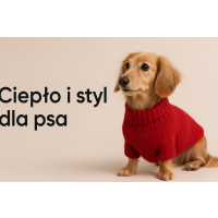Koszulki i sweterki dla psów