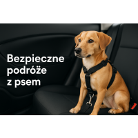 Pasy bezpieczeństwa dla psów Pasy bezpieczeństwa dla psów