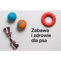 Piłki i gryzaki