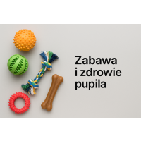 Piłki i gryzaki Piłki i gryzaki