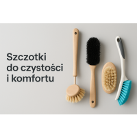 Szczotki Szczotki