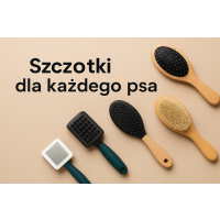 Szczotki Szczotki