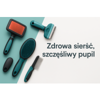 Szczotki i grzebienie dla zwierząt
