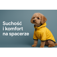Ubranka przeciwdeszczowe dla piesków