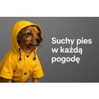Ubranka przeciwdeszczowe dla piesków