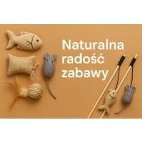 Wędki i zabawki z kocimiętką