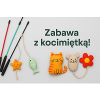 Wędki i zabawki z kocimiętką