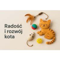 Zabawki dla kotów