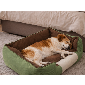 Legowisko dla psa kota posłanie kanapa antypoślizgowe średnie wygodne m