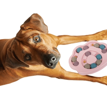 Zabawka dla psa edukacyjna logiczna gra na przysmaki gryzak węchowa puzzle