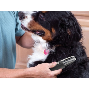 Elektryczny szczotka grzebień na kołtuny dla psa kota zwierząt do sierści