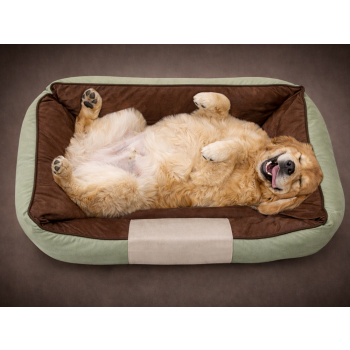 Legowisko dla psa kota posłanie kanapa antypoślizgowe średnie wygodne m