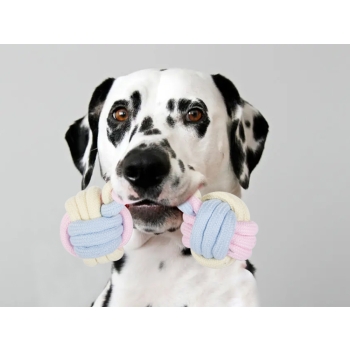 Zabawka dla psa gryzak szarpak sznur mocny kość