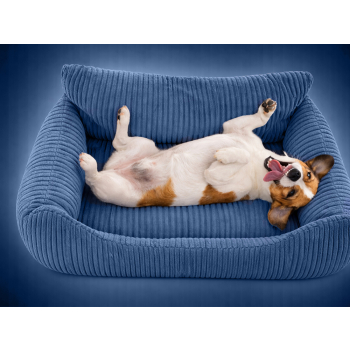Legowisko dla psa kota miękkie sztruksowe antypoślizgowe małe wygodne m