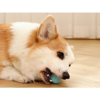 Zabawka dla kota psa uciekająca piłka led wibracje elektryczna usb piłeczka