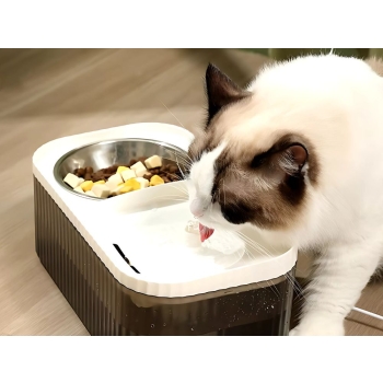 Automatyczne poidełko dla kota psa fontanna wodna filtr miska na karmę
