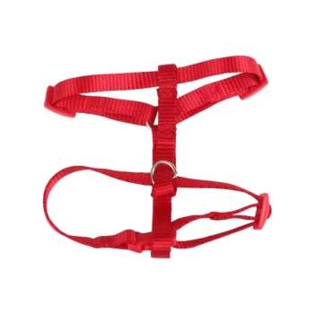 Poliestrowe Szelki dla psa rozmiar XS 4 kolory