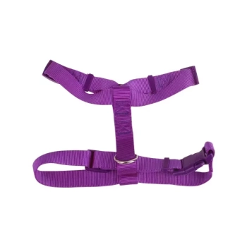 Poliestrowe Szelki dla psa rozmiar XS 4 kolory