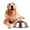 Antypoślizgowa miska dla zwierząt ze stali nierdzewnej