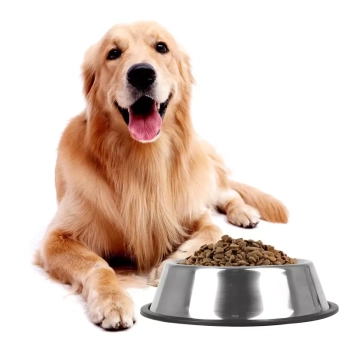 Antypoślizgowa miska dla zwierząt ze stali nierdzewnej