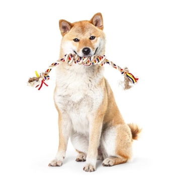 Zabawka z bawełnianego sznura dla psów