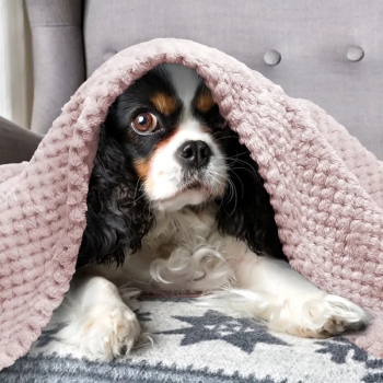 Żakardowy, tkany koc flanelowy dla zwierząt 120x100