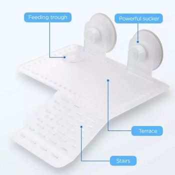 Schody dla żółwia , jaszczurki