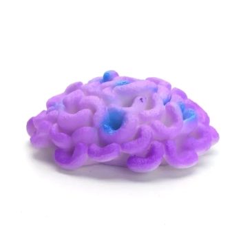 Odblaskowy koralowiec DO AKWARIUM mix kolorów