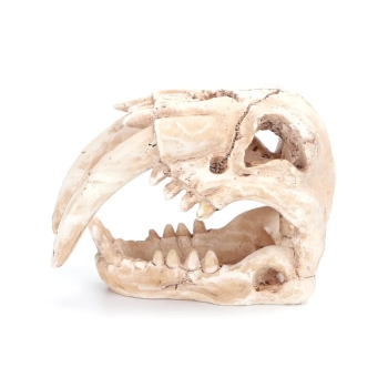 Czaszka ozdobna do akwarium