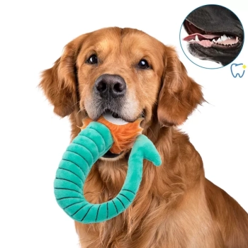 Pluszowa mucha-zabawka dla kota psa