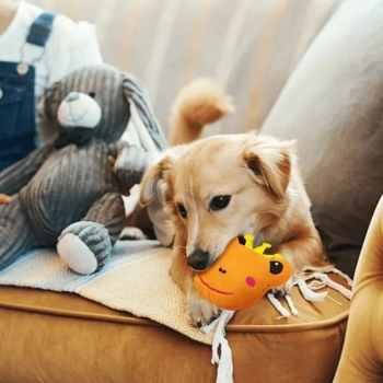 Piszcząca zabawka dla psa -żaba