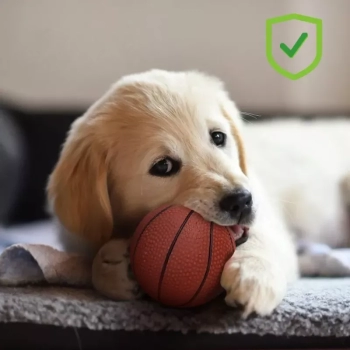 Zabawkowa piłka do koszykówki średnica 7,5 cm dla psa