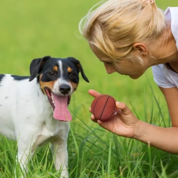 Zabawkowa piłka do koszykówki średnica 7,5 cm dla psa