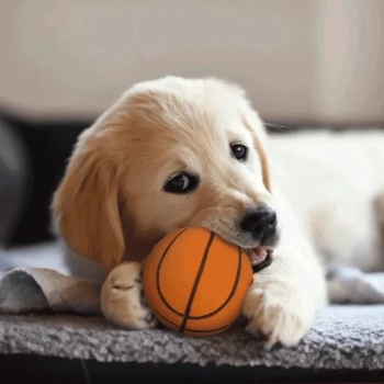 Zabawkowa piłka do koszykówki średnica 6,5 cm