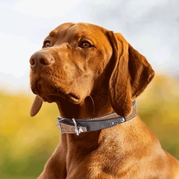 Obroża dla psa z jednolitej sztucznej skóry z PU rozmiar M