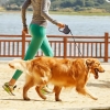 Automatyczna smycz dla psów o wadze do 50 kg 5 metrów trzy kolory