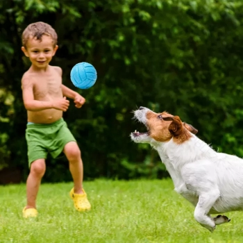 Mini piłka siatkowa 6cm dla psa zabawka gryzak dla psa z dźwiękiem