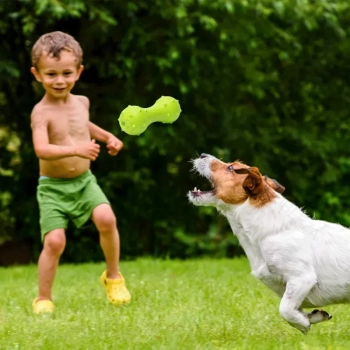 Sztanga dla psa z TPR zabawka gryzak dla psa z dźwiękiem 13.5x5x5cm