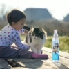Dezodorant dla kotów Nobleza — zdjęcie 4