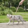 Zestaw szelek H dla kota 1 cm 25-45 cm + obroża 20-35 cm + smycz 110 cm niebieski różowy czerwony — zdjęcie 3