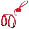 Zestaw szelek H dla kota 1 cm 25-45 cm + obroża 20-35 cm + smycz 110 cm niebieski różowy czerwony — zdjęcie 6