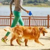 Automatyczna smycz dla psów do 50 kg, 5 metrów, Nobleza, trzy kolory