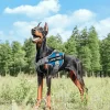 Profesjonalne szelki dla psa rozmiar S Nobleza