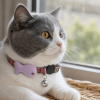 Cicada fish cat collar W1.0*L25-34cm Grey&Pink Brown&Purple