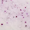 Silica gel cat litter 3.8L 1.5kg Lavender