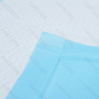 Pee pads L L90*W60cm White&Blue 10pcs(GJ)